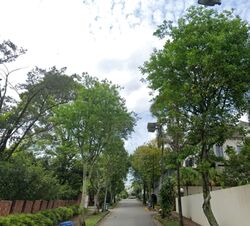 Wolskel Road (D13), Detached #584006971